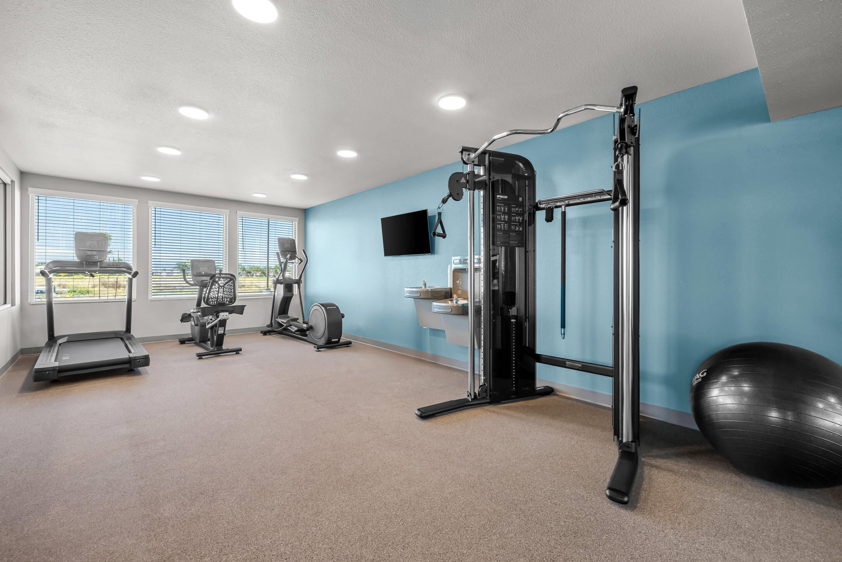 Une salle de sport équipée de tapis de course, d’un appareil elliptique, d’un support pour les squats et d’un grand ballon d’exercice.