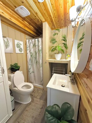 Shower, hair dryer, toilet paper