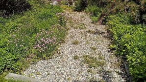 A gravel path leading to a coastal view with ocean waves and a clear sky. - Seacoast Sanctuary (Cape Neddick)