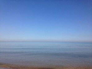 Interior - Sandhill Flat (Gary)