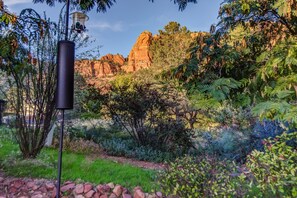A garden with a variety of plants and trees, a stone pathway, and a rock formation in the background.