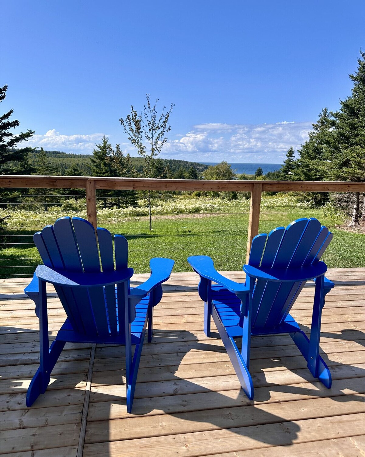 Image de profil de l’hôte