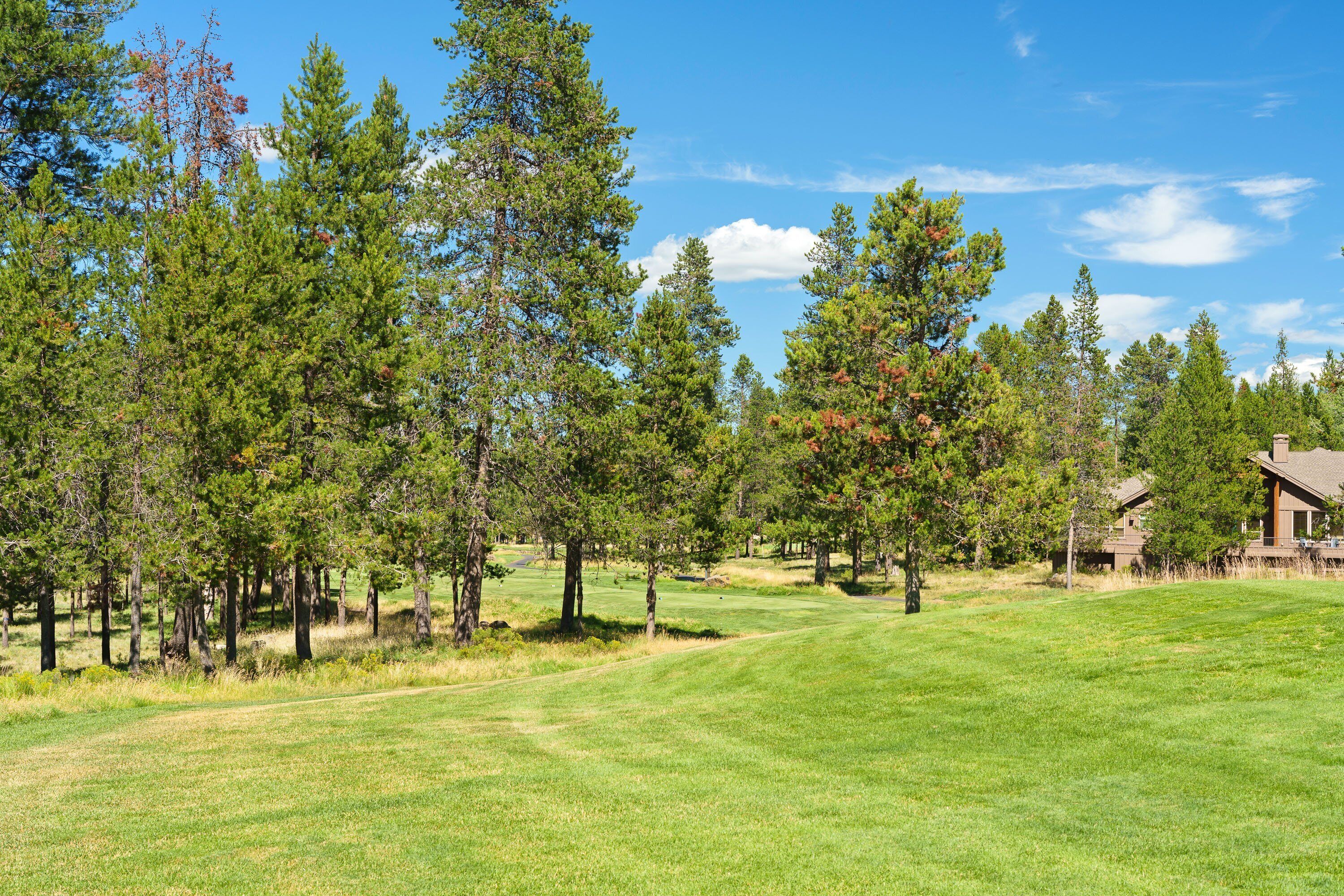 A golf course with a clear path, surrounded by tall trees and a building in the background.