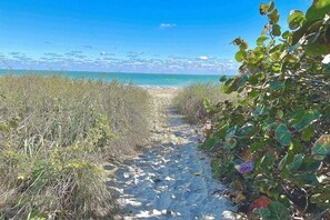 Serviettes de plage