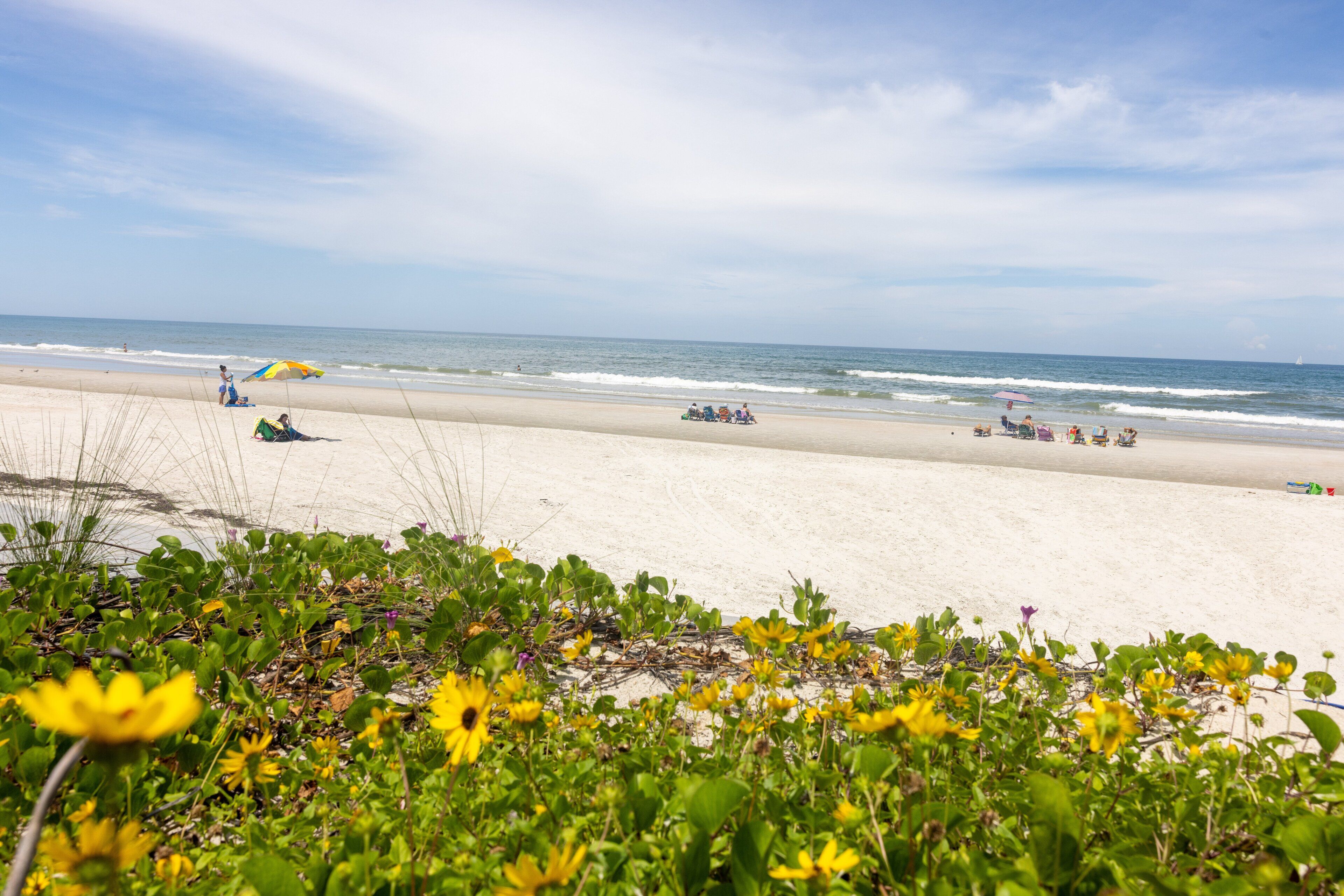 A beach with people relaxing under umbrellas, a sandy shore, and ocean waves.