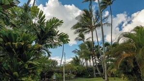 Un giardino tropicale con palme e vegetazione rigogliosa.