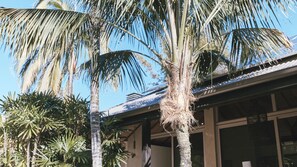 Exterior detail - Grand Luxe Villa is a peaceful two-bedroom retreat that invites you to slow down. (Byron Bay)