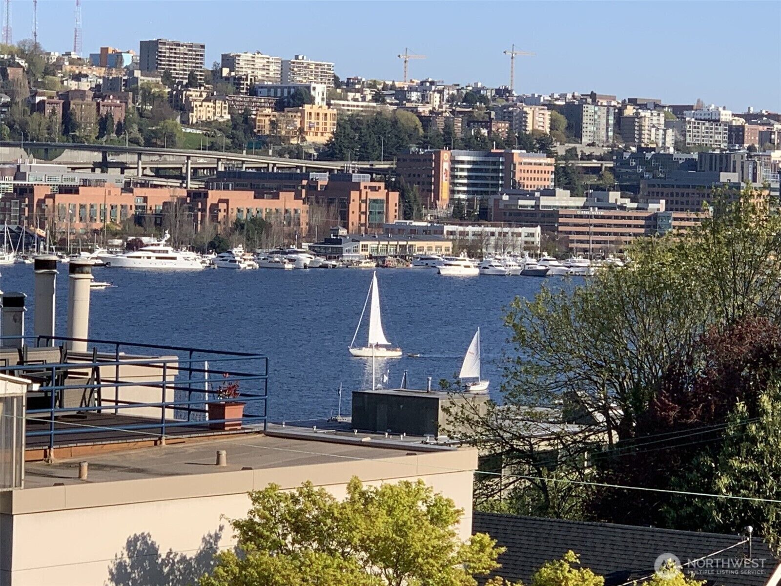 A cityscape with a marina filled with boats, including sailboats, and a variety of buildings in the background.