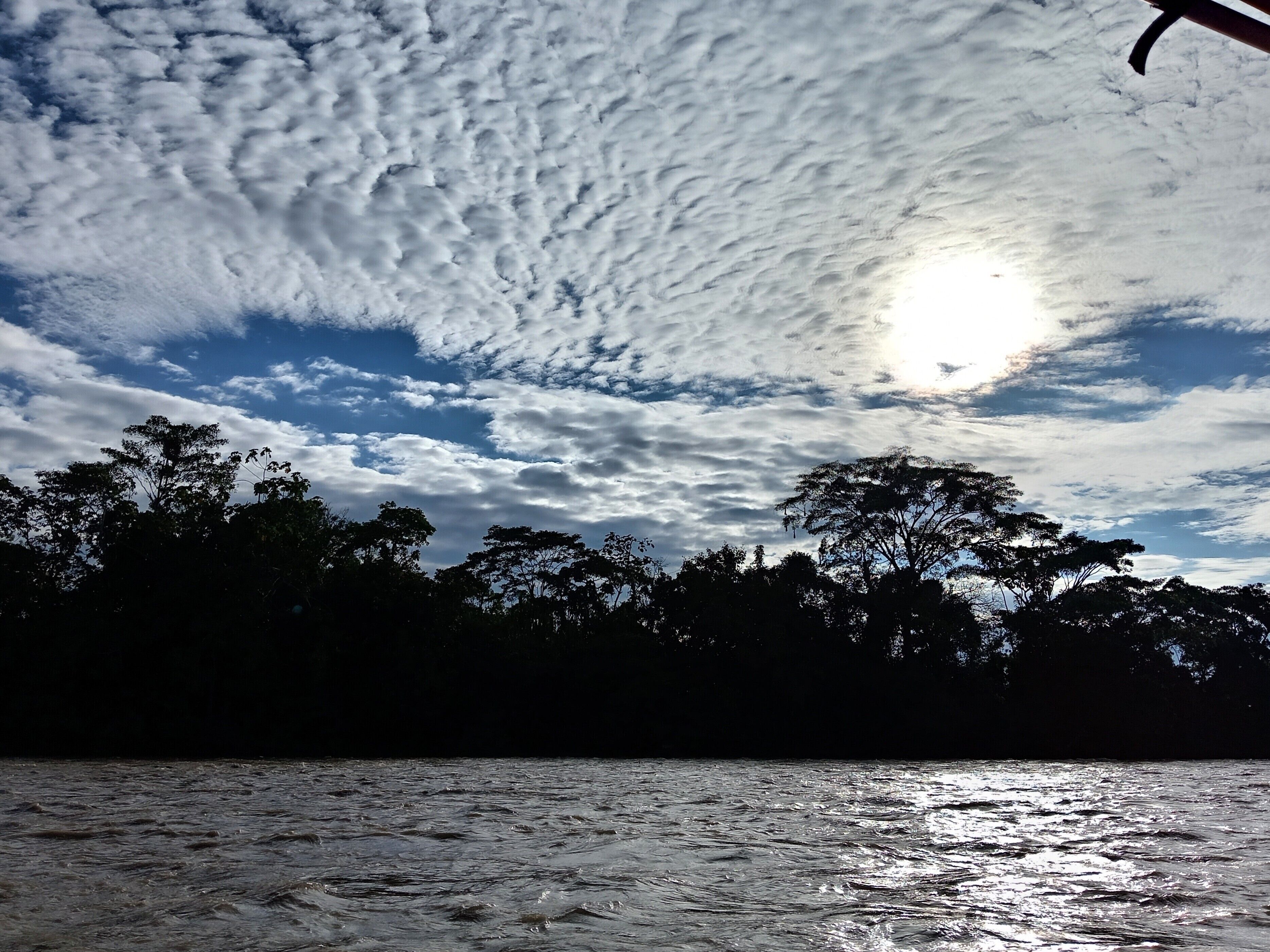 A body of water with trees in the foreground and a cloudy sky above.