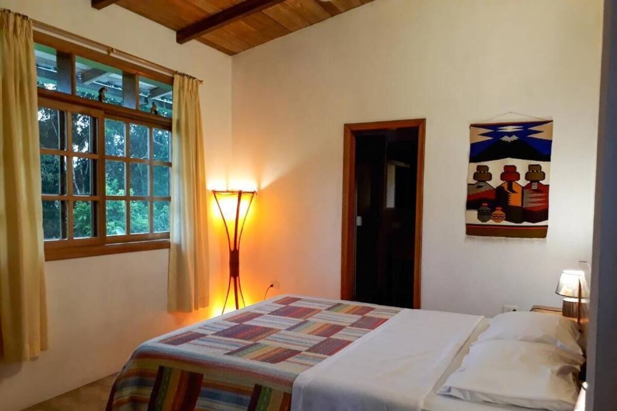 A bedroom with a bed, a window with curtains, a door, and a wall-mounted artwork.