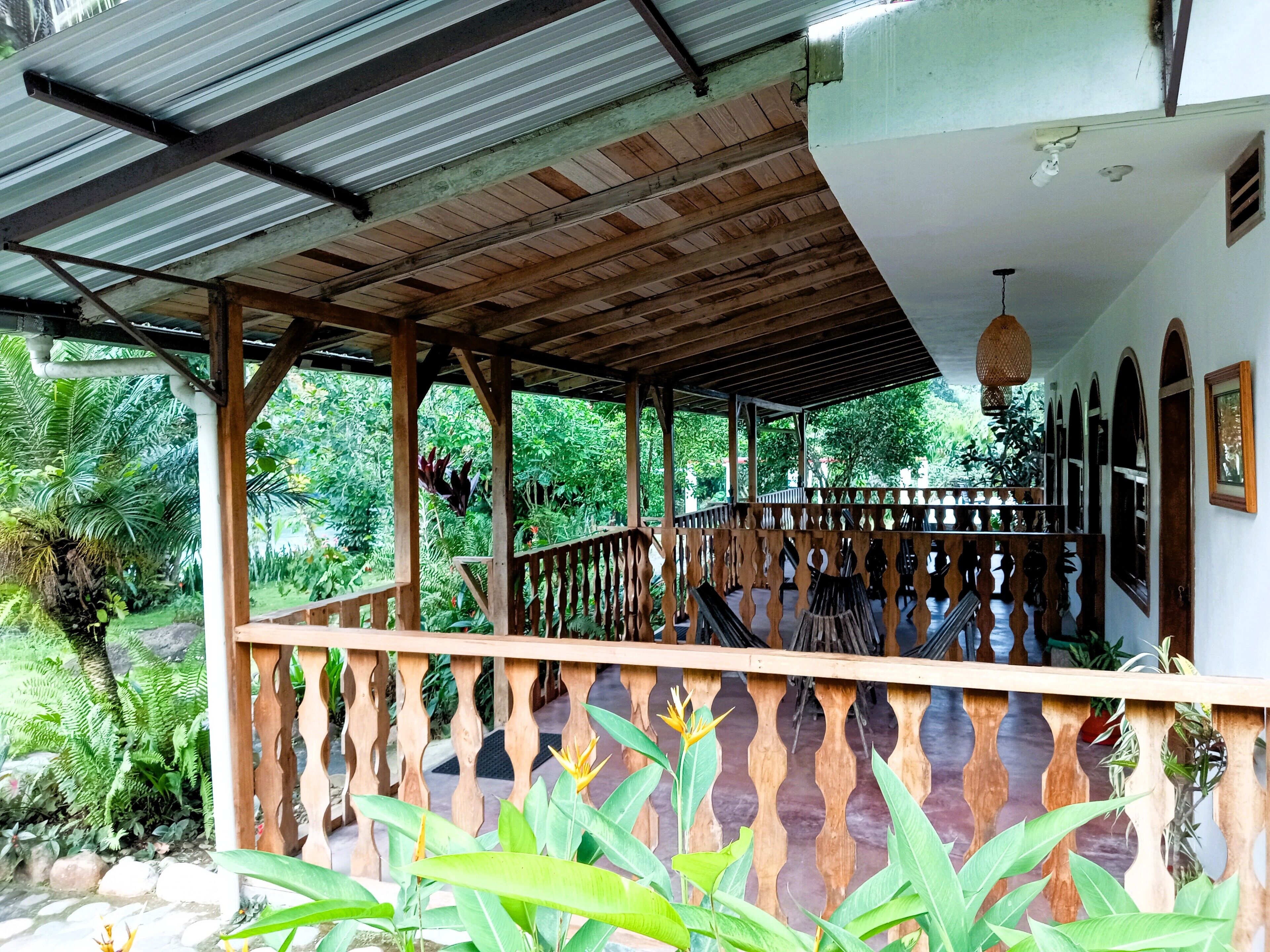 A covered outdoor area with a wooden railing, surrounded by lush greenery.