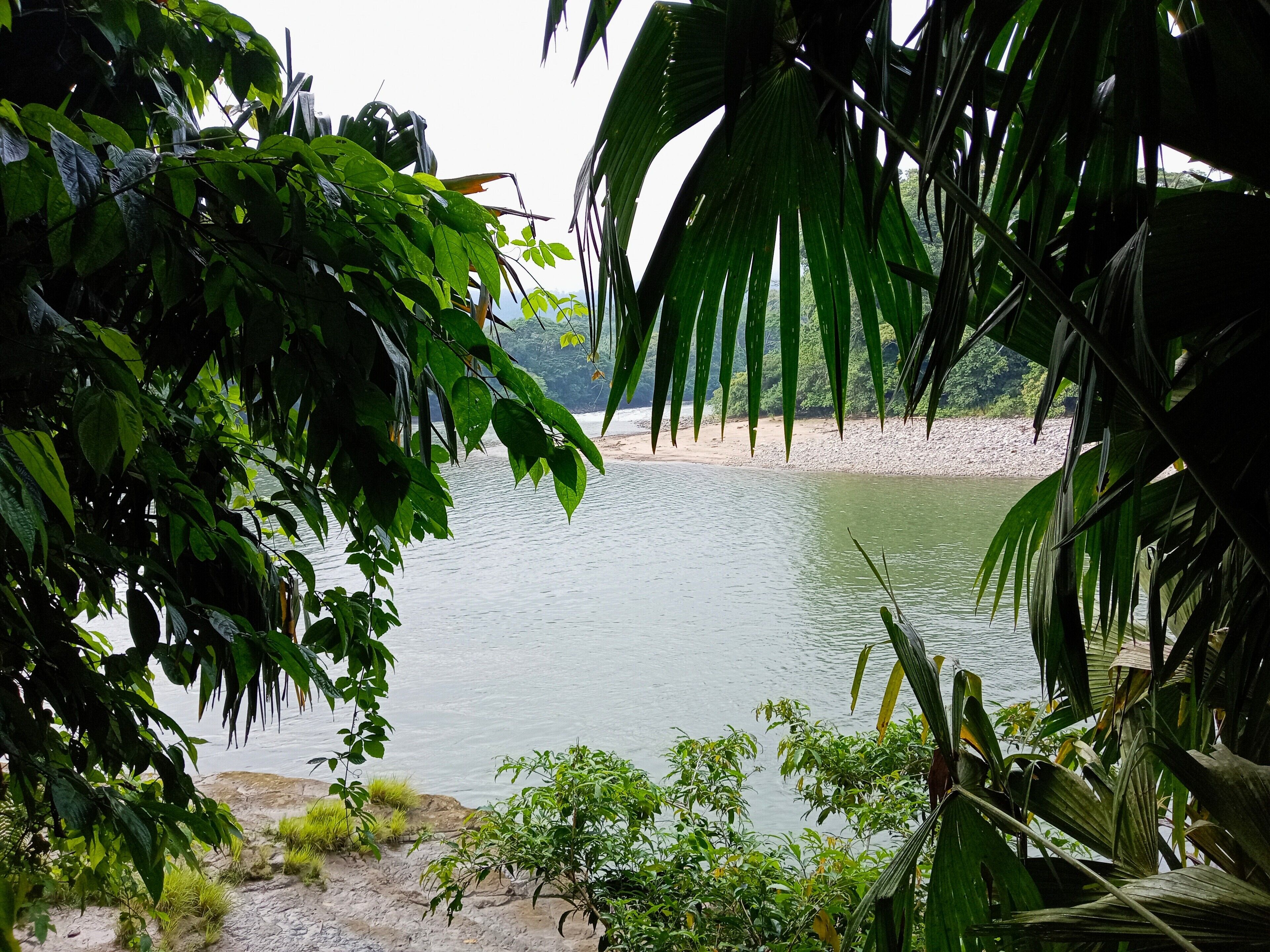 A serene lake surrounded by lush greenery and a sandy beach.