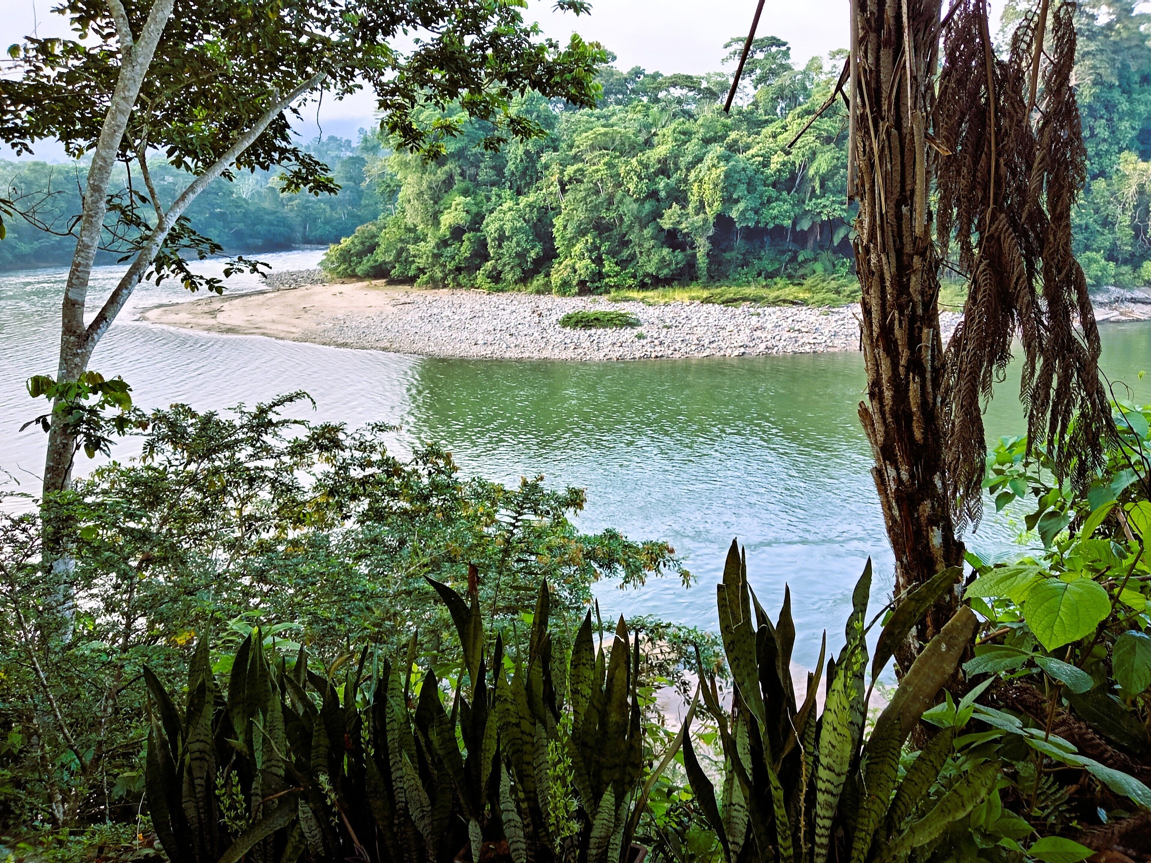 Paisaje natural con un río, abundante vegetación y una costa rocosa.