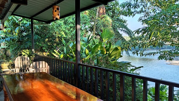 A wooden deck with a view of a river and dense foliage. - Banana Lodge (Puerto Misahuallí)