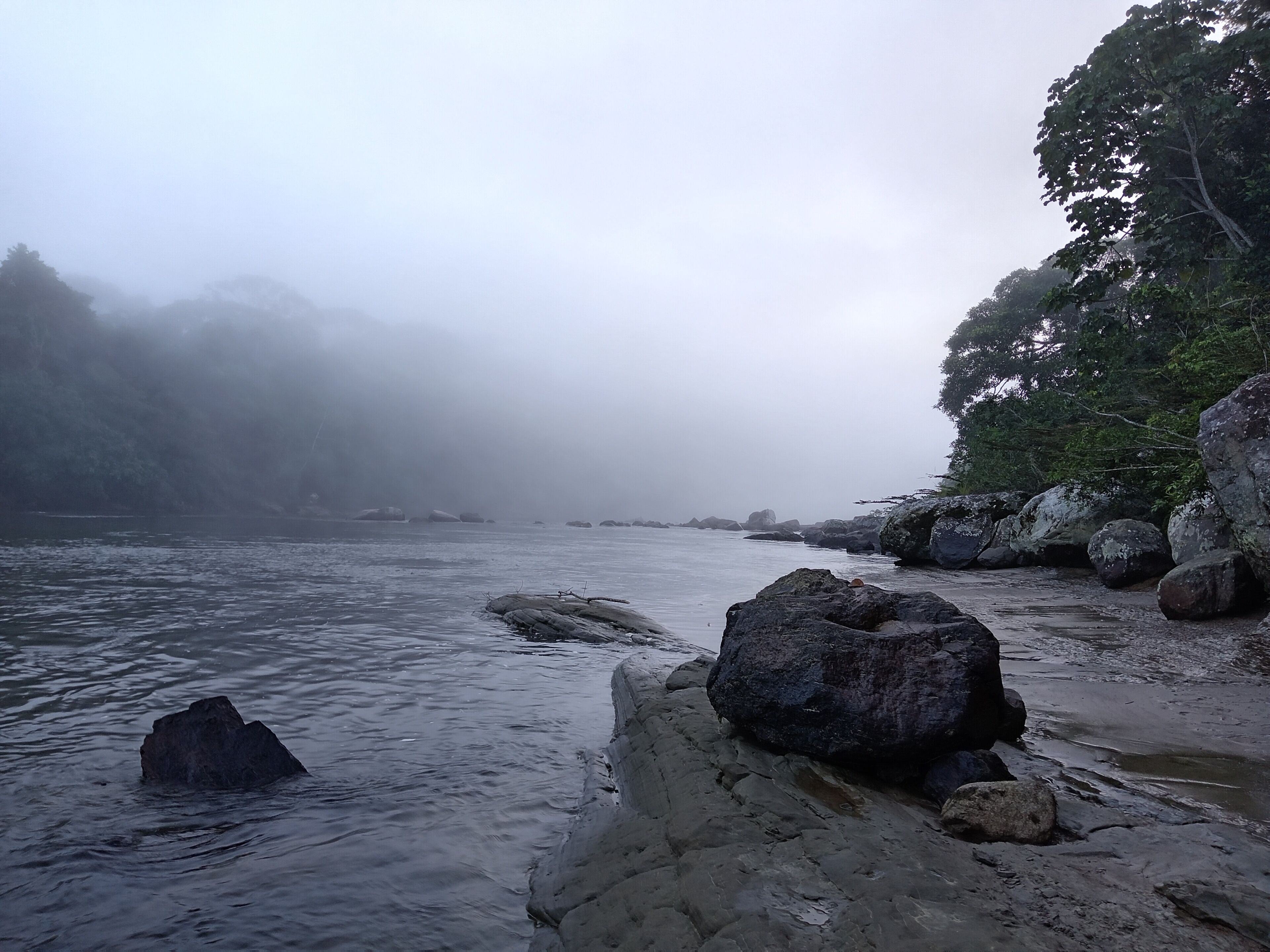 A rocky shoreline with large boulders and a forested area in the background.