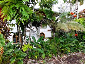 Exterior - Banana Lodge (Puerto Misahuallí)