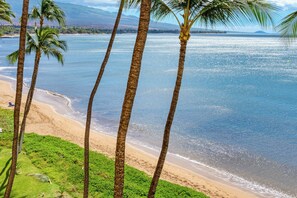 On the beach - Direct Oceanfront unit that will take your breath away. Sugar Beach 528 (Kihei)