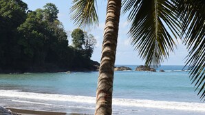 A beach with a palm tree, rocky shore, and calm sea. - Beautiful home and gardens near the beach (Ojochal)