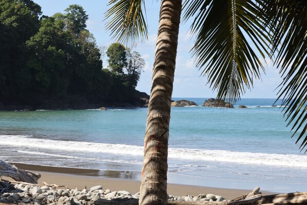 Playa