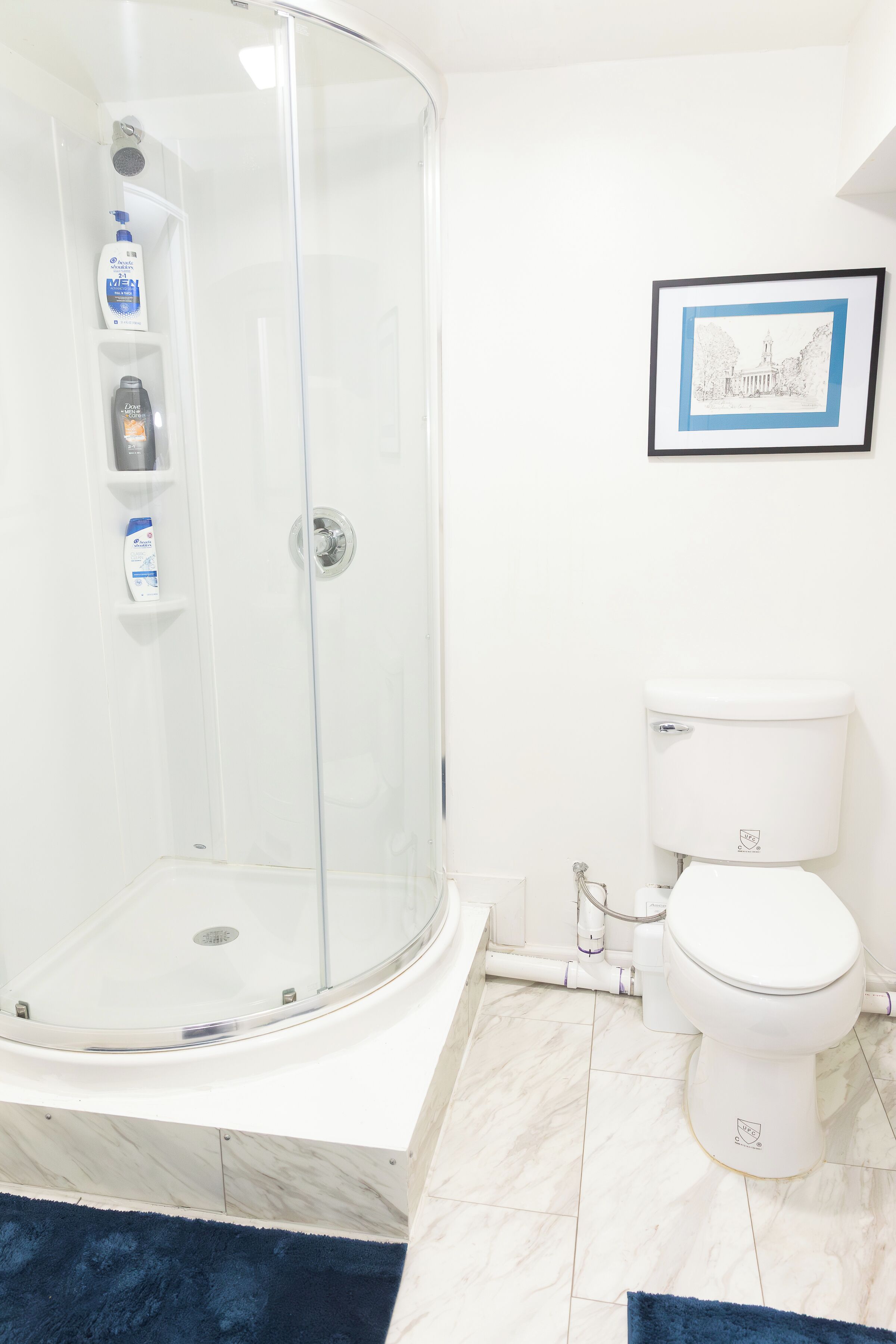 A bathroom with a glass shower enclosure, a toilet, and a framed picture on the wall.