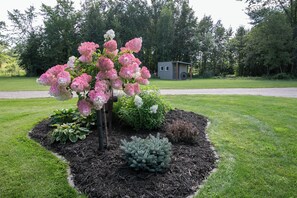 Áreas de la propiedad