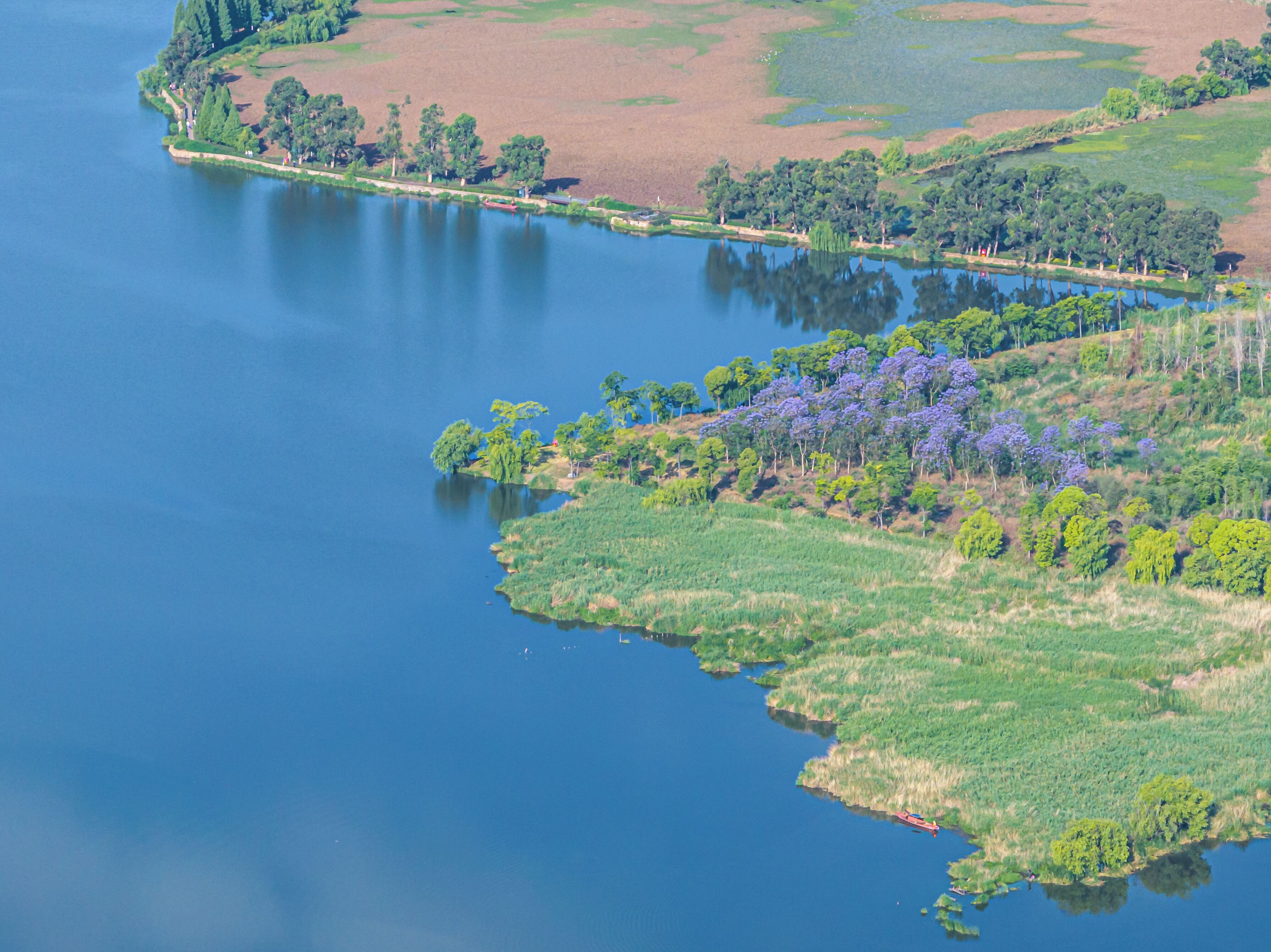 An aerial view of a lake surrounded by green fields and trees.