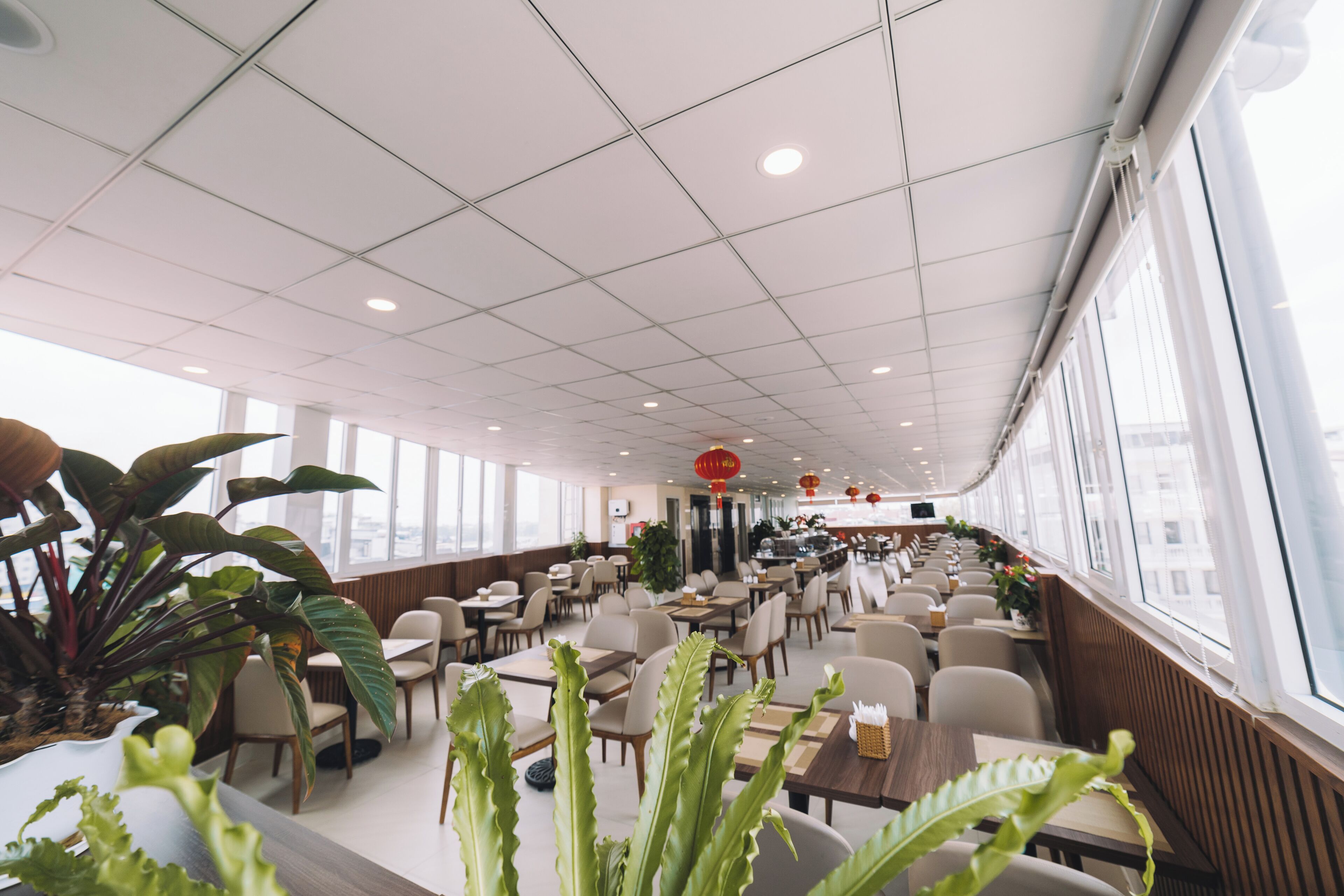 Un restaurante espacioso con techos altos, ventanas amplias y plantas de interior.