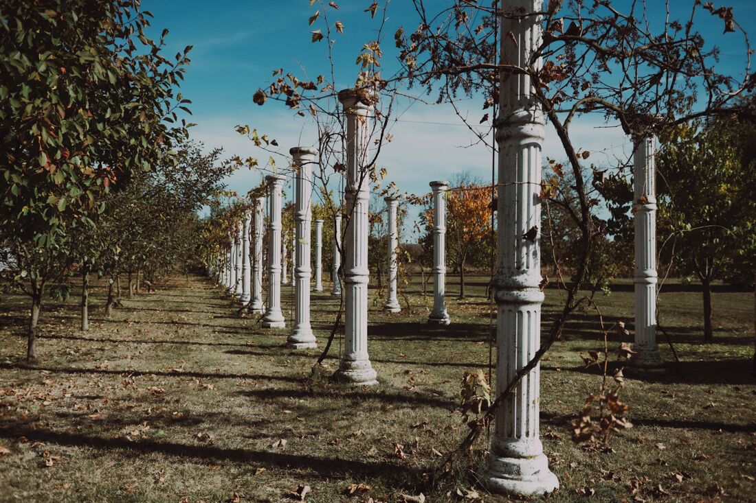 Áreas de la propiedad