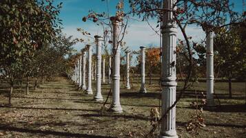 Áreas de la propiedad