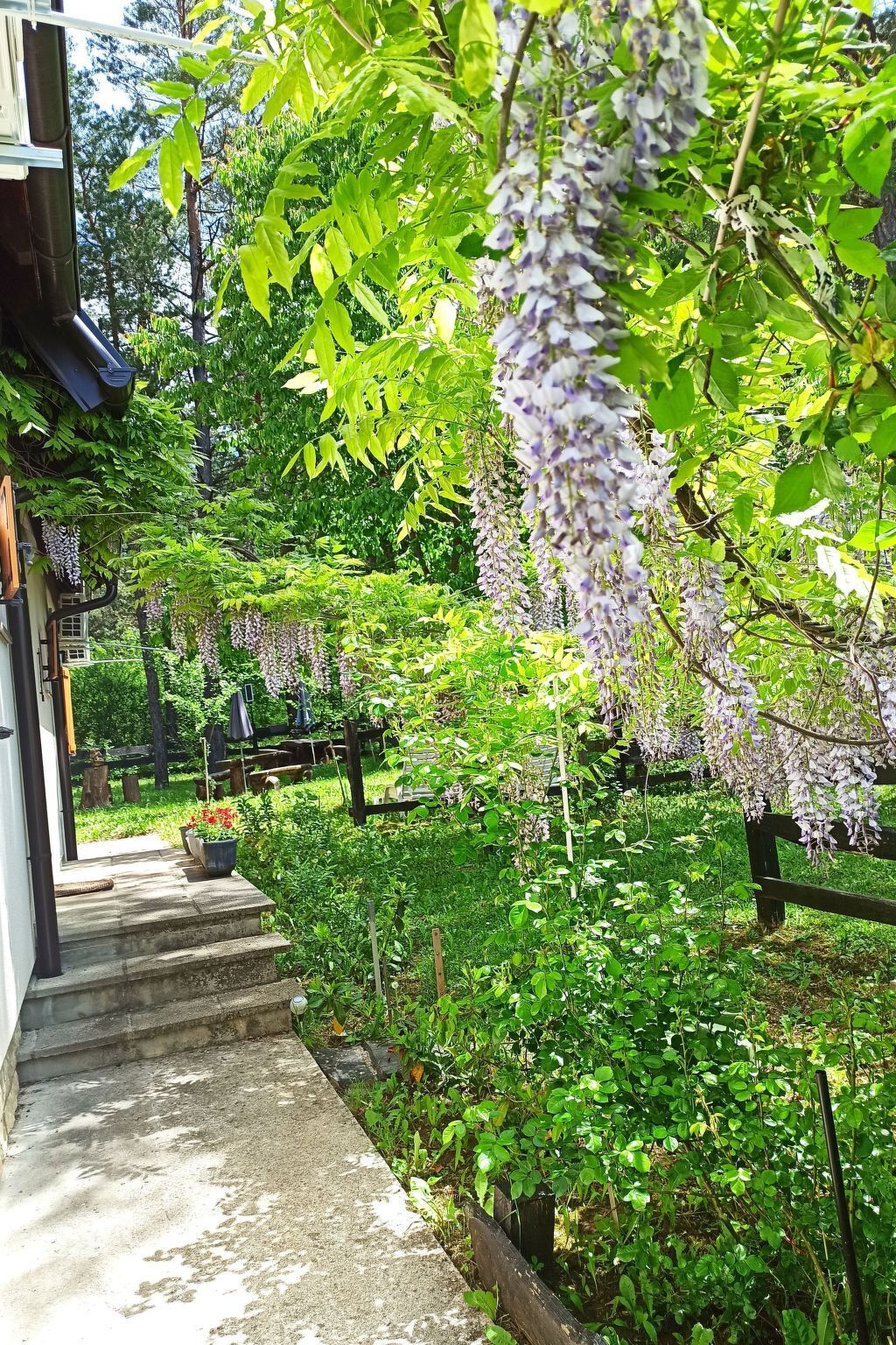 Terrain de l’hébergement 