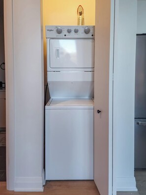 Interior - The Mason - Luxe 2BR Designer Flat in Bucktown/WP (Chicago)