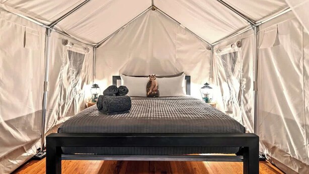 Room - Campy! Wrigley Campground (Chicago)