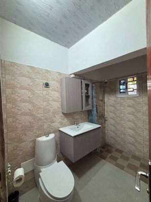 Douche, sĂšche-cheveux, serviettes fournies, savon