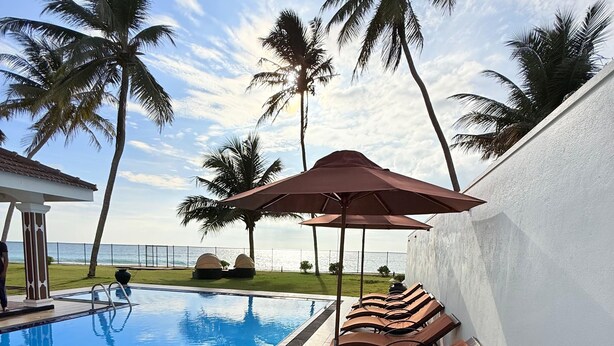 Zona de piscina con sillas de descanso y sombrillas, palmeras y vista al mar.