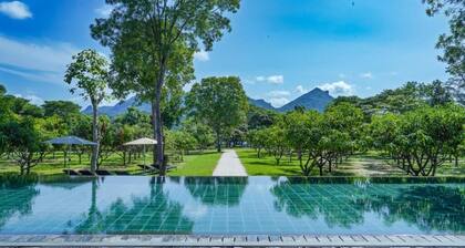 Amba Yaalu - Thema Collection