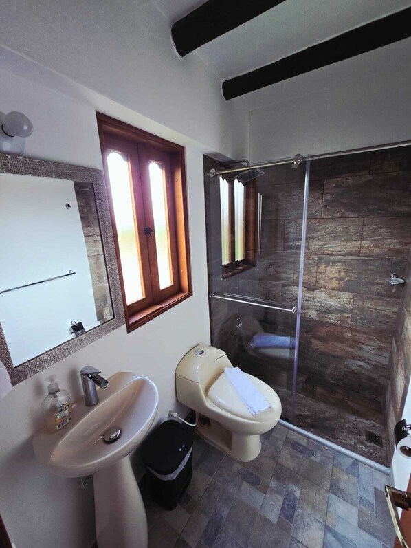 Une salle de bain avec un lavabo, des toilettes et une douche.
