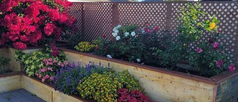Un jardín elevado con diversas flores coloridas y una terraza de madera.
