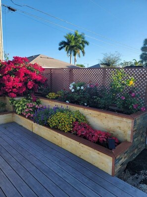 Property grounds - TR's Bed & Breakfast (Cape Coral)