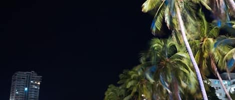 Chaises longues, serviettes de plage