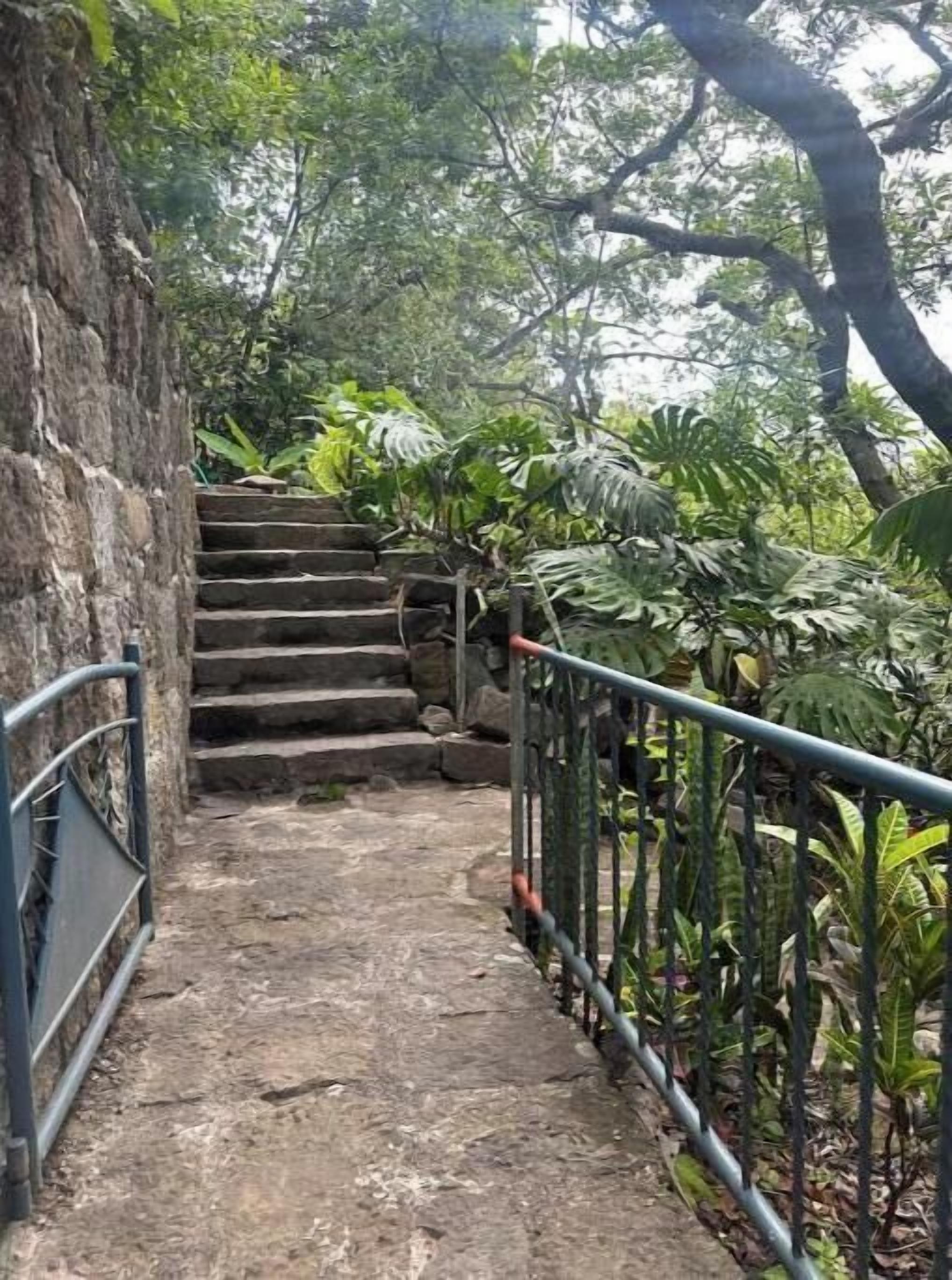 Eine steinerne Treppe führt zu einem Gebäude, umgeben von üppiger Vegetation.