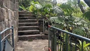 Eine steinerne Treppe führt zu einem Gebäude, umgeben von üppiger Vegetation.