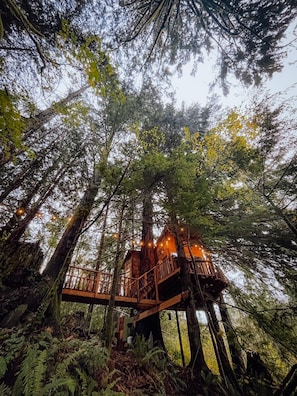 Exterior - Cozy, modern treehouse w/ WiFi & Smart Projector, outdoor shower & soak tub (North Bend)