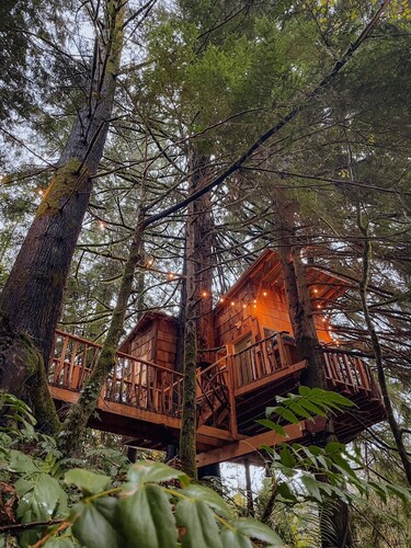 Cozy, modern treehouse w/ WiFi & Smart Projector, outdoor shower & soak tub