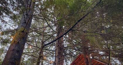 Cozy, modern treehouse w/ WiFi & Smart Projector, outdoor shower & soak tub