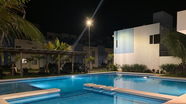 Une piscine à l’eau d’un bleu cristallin, entourée d’une terrasse en béton et de palmiers.
