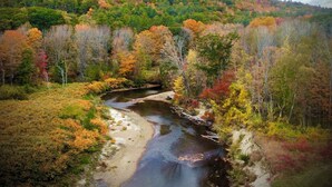A river flowing through a forested area with autumn foliage.