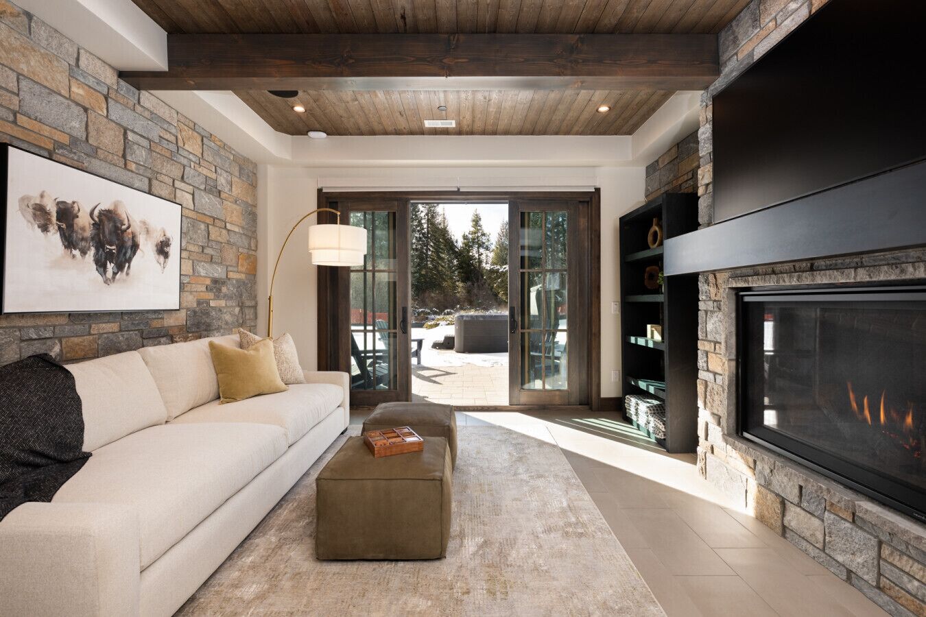 TV, fireplace, video games, stereo