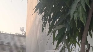 Ein schmaler Pfad, der von weißen Wänden und einem Baum gesäumt wird.