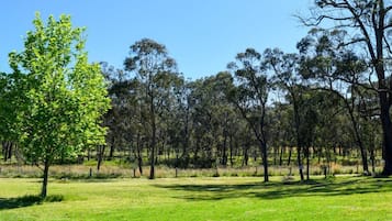 A grassy field with trees and a clear blue sky.