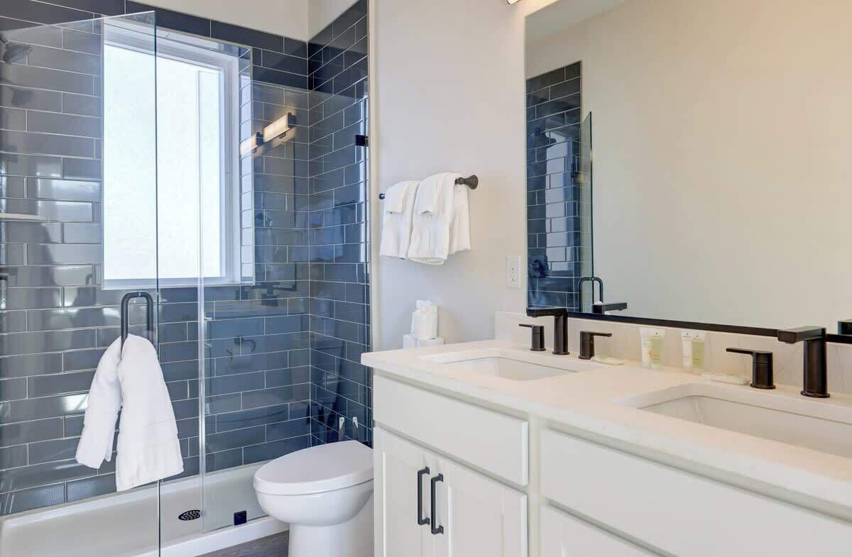 Shower, hair dryer, shampoo
